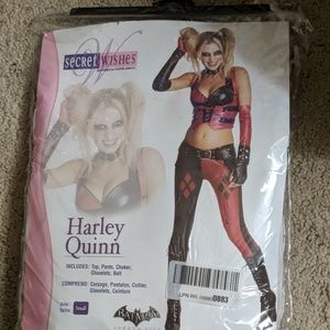 Secret Wishes Harley Quinn costume  small